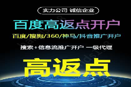 百度SEO推广公司案例精选：揭秘优化策略